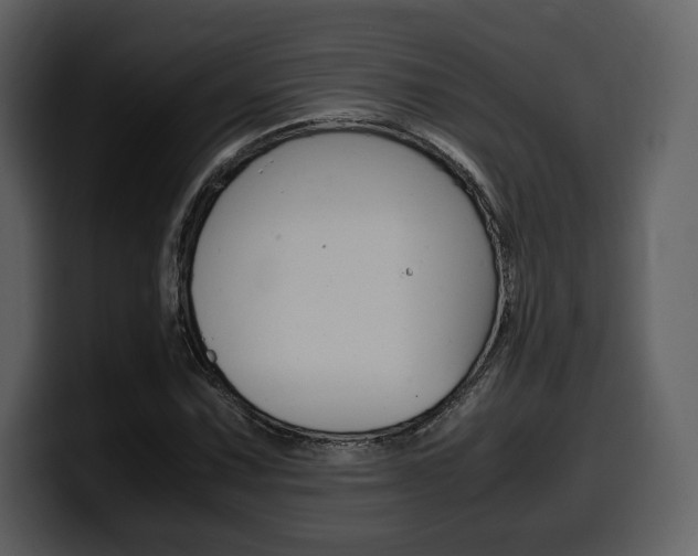 X0000099571067200805160721