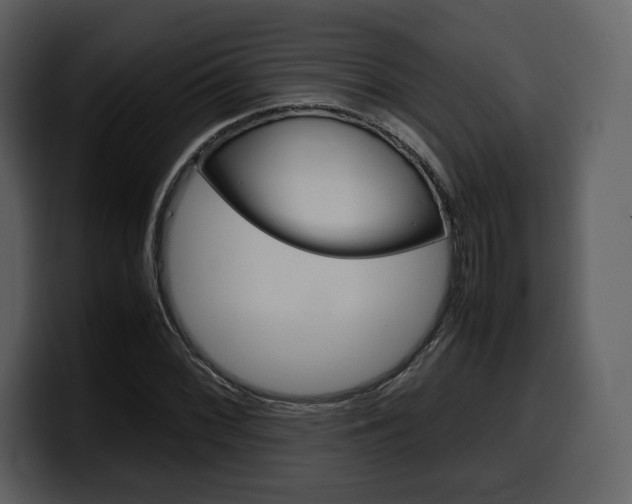 X0000099571068200805160721