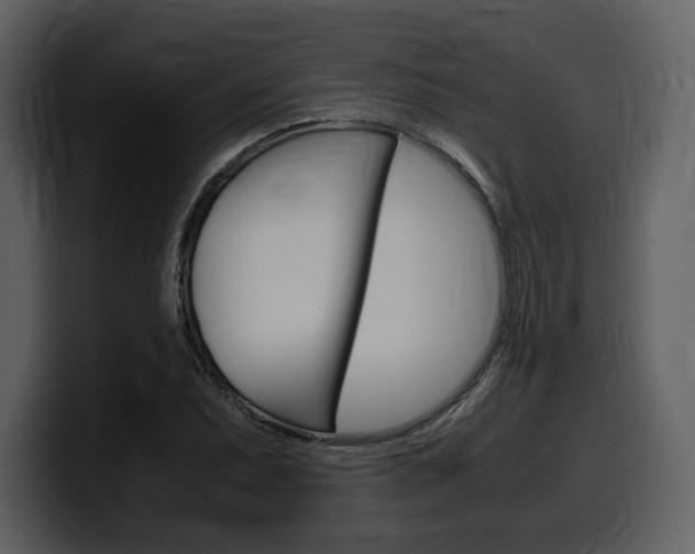 X0000099571071200805160721