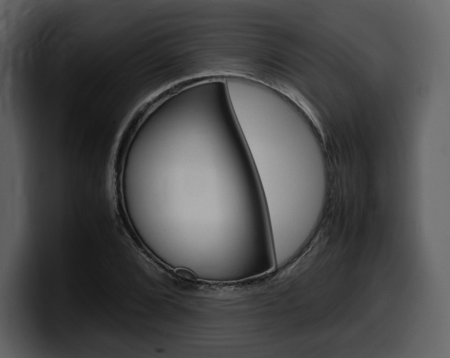 X0000099571072200805160721