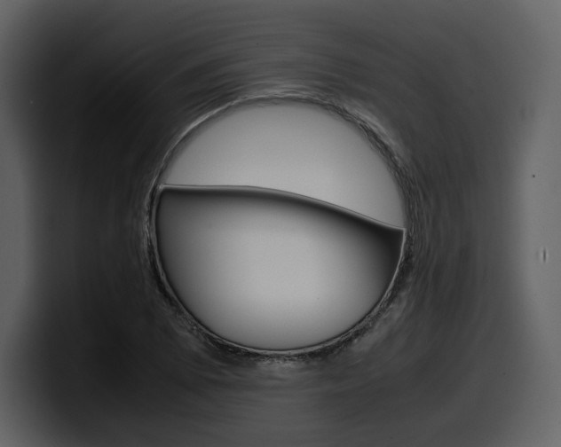 X0000099571073200805160721