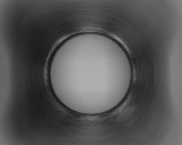 X0000099571074200805160721