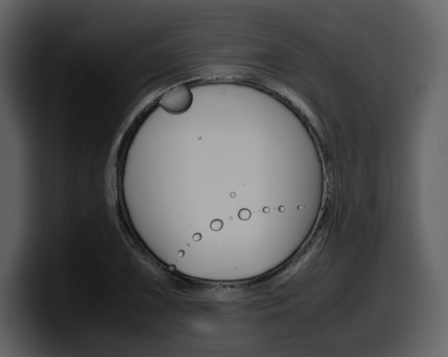 X0000099571075200805160721