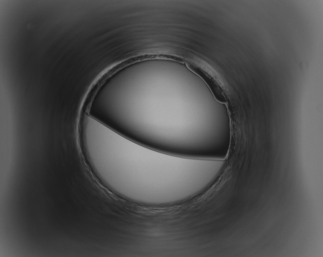 X0000099571076200805160721