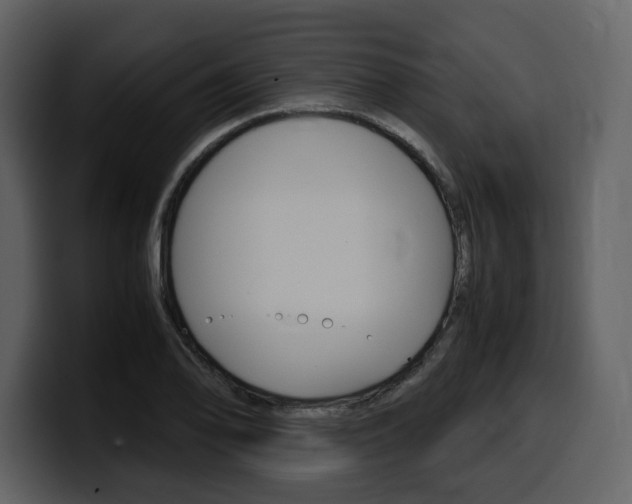 X0000099571078200805160721