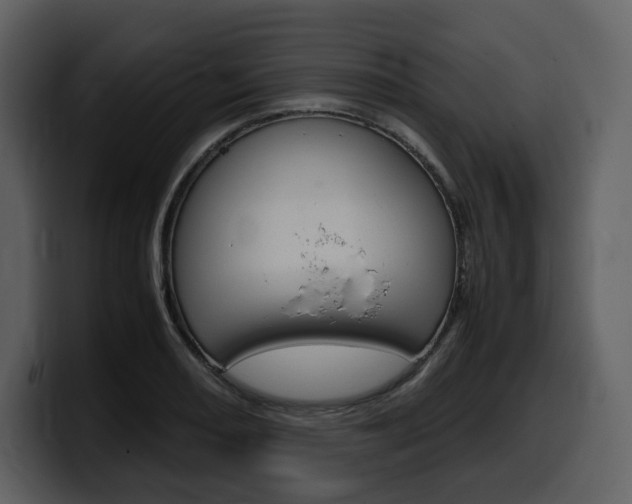 X0000099571082200805160721