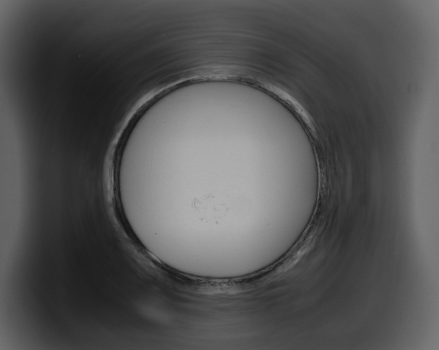 X0000099571083200805160721