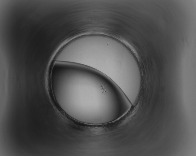 X0000099571085200805160721