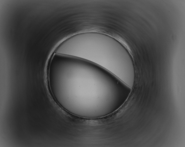 X0000099571088200805160721