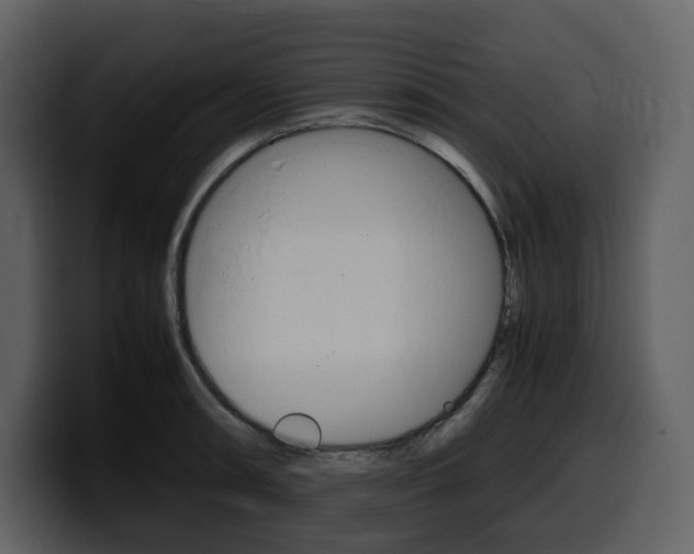 X0000099571090200805160721