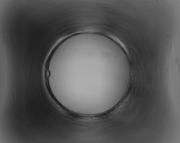 X0000099571091200805160721