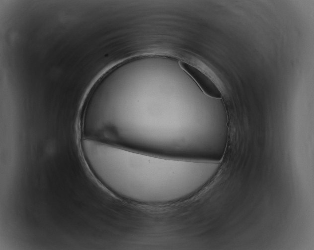 X0000099571092200805160721