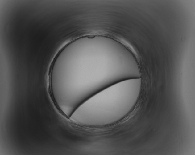 X0000099571095200805160721