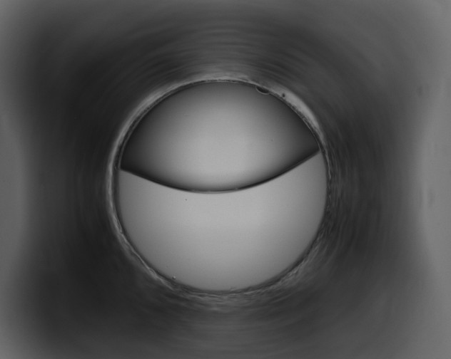 X0000099571096200805160721
