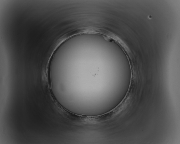 X0000099571097200805160721