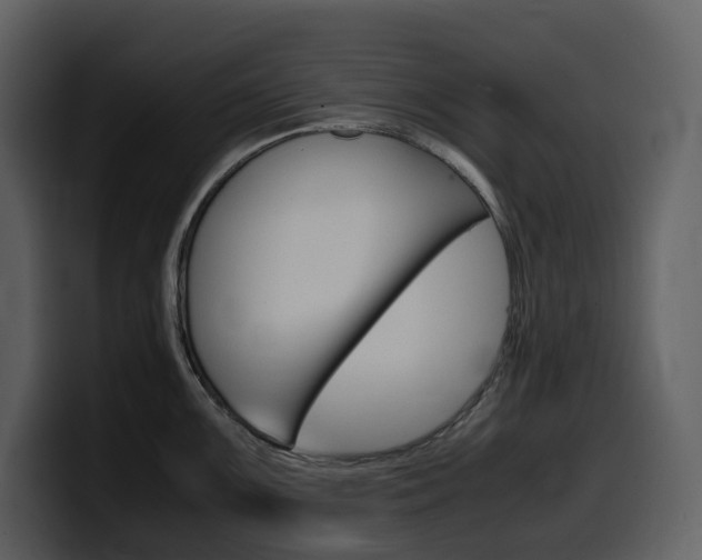 X0000099571099200805160721