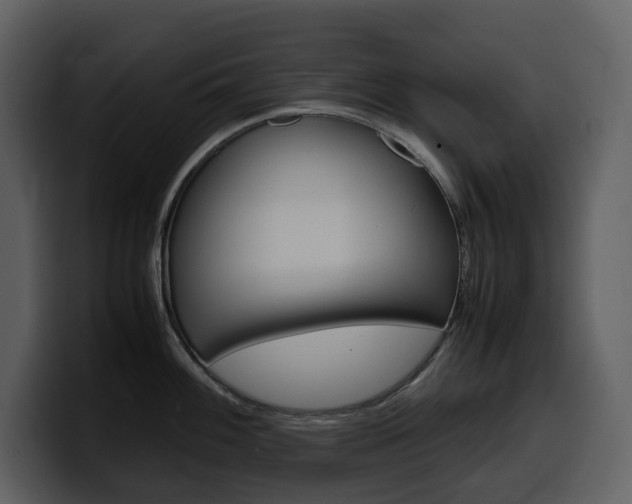 X0000099571100200805160721