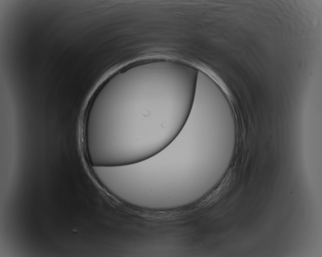 X0000099571101200805160721