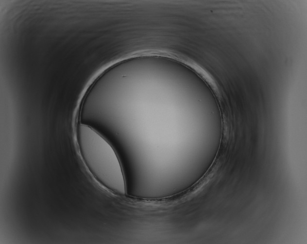 X0000099571102200805160721