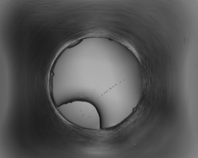 X0000099571103200805160721