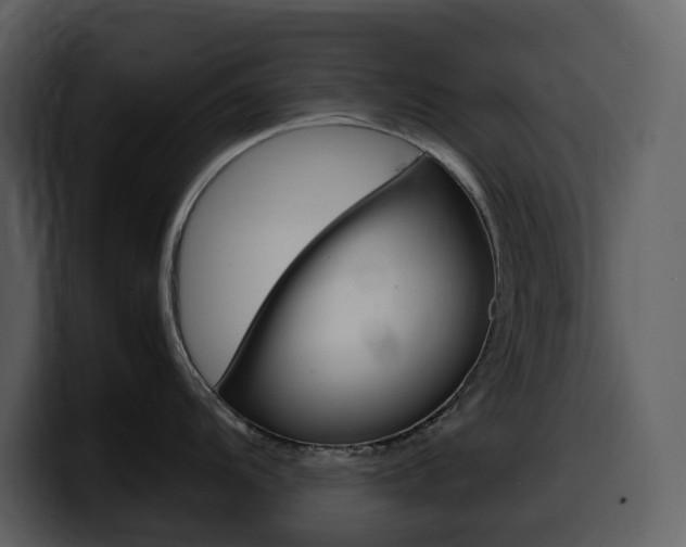 X0000099571104200805160721