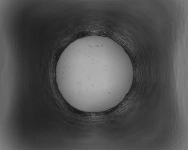 X0000099571105200805160720