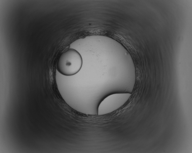 X0000099571106200805160720
