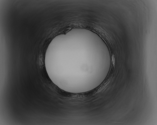 X0000099571107200805160720
