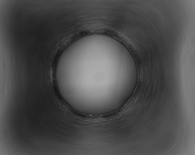 X0000099571108200805160720