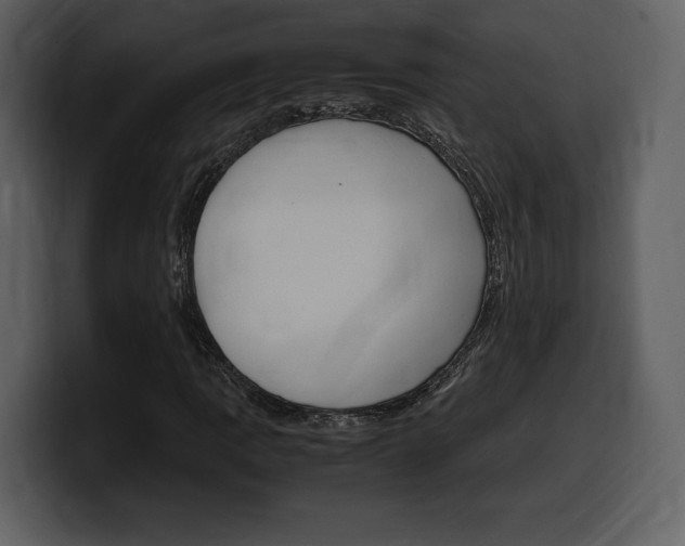 X0000099571109200805160720