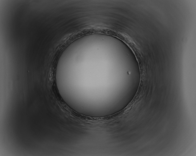 X0000099571110200805160720