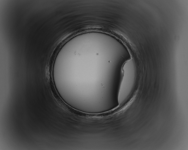 X0000099571113200805160720