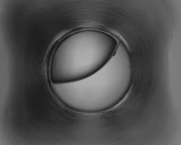 X0000099571114200805160720
