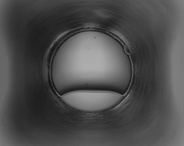 X0000099571115200805160720