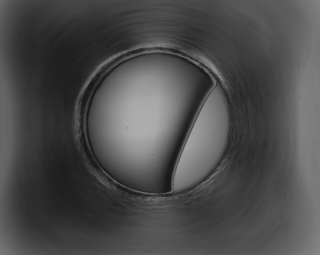 X0000099571116200805160720