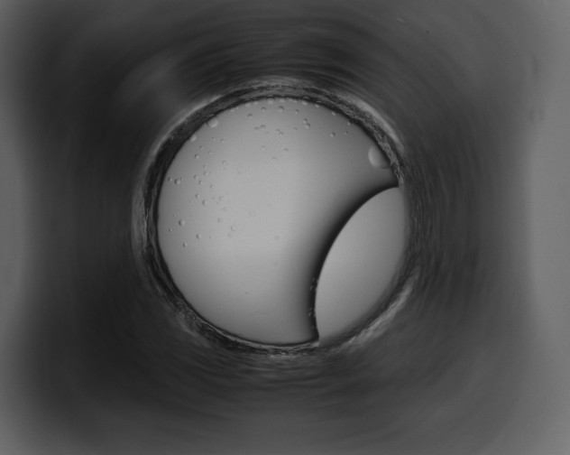 X0000099571117200805160720