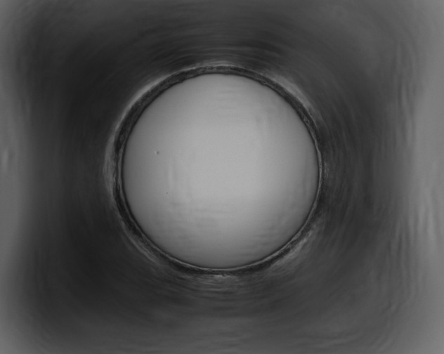 X0000099571119200805160720
