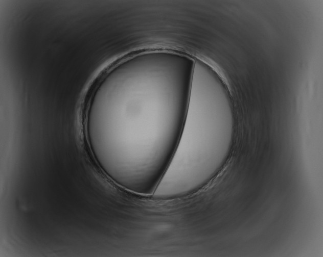 X0000099571120200805160720