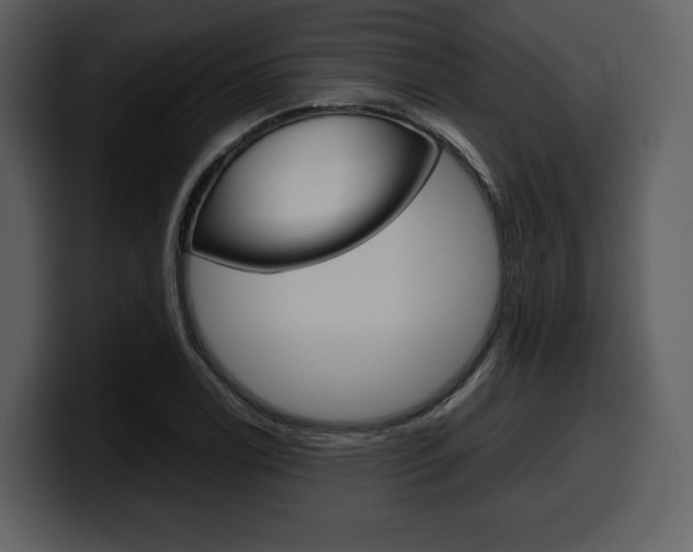X0000099571122200805160720