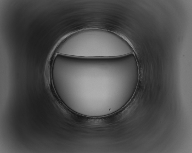 X0000099571123200805160720
