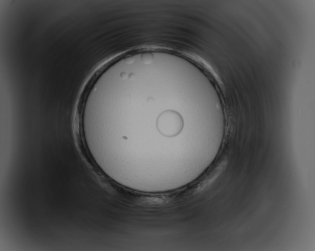 X0000099571125200805160720