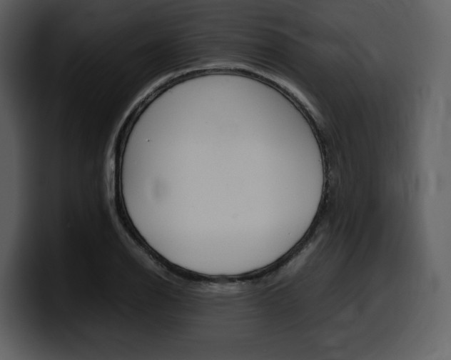X0000099571126200805160720