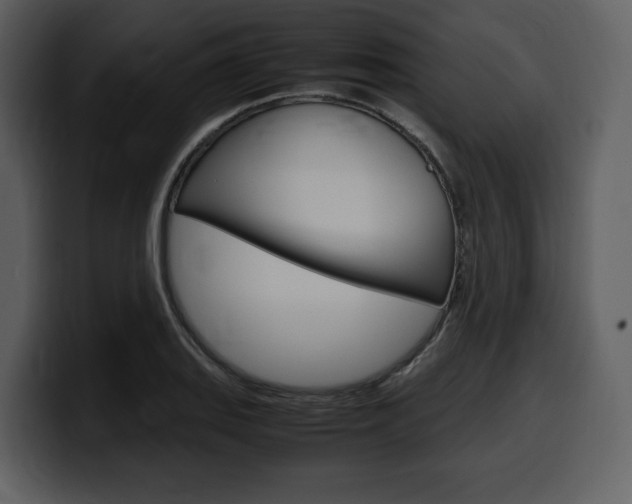 X0000099571127200805160720