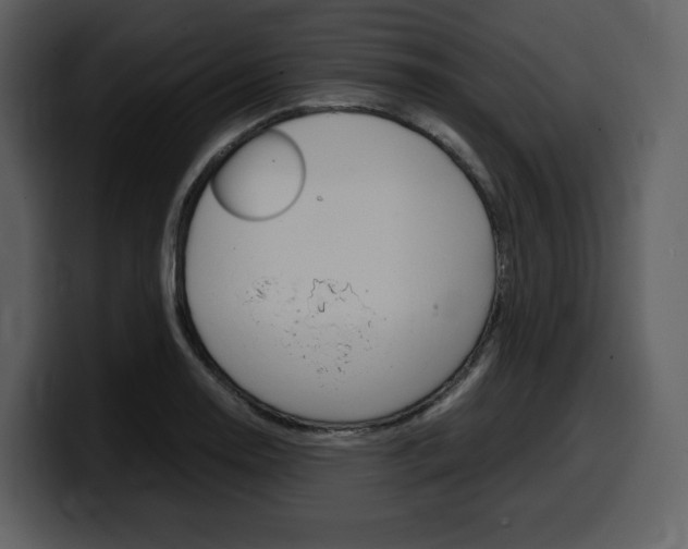 X0000099571130200805160720