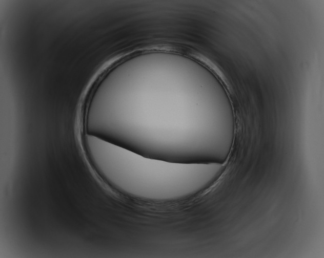 X0000099571131200805160720