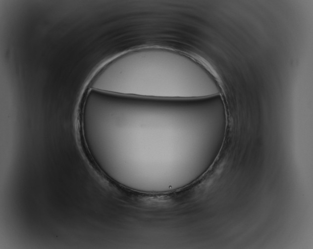 X0000099571133200805160720
