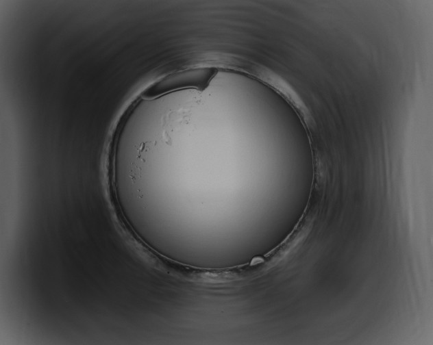 X0000099571138200805160720