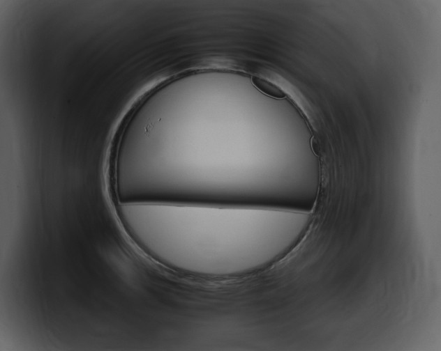 X0000099571139200805160720