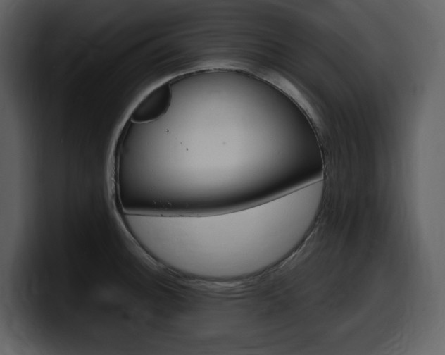 X0000099571140200805160720