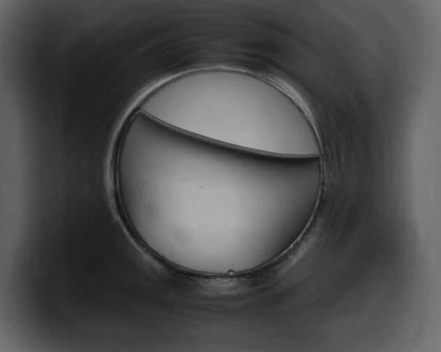 X0000099571141200805160720